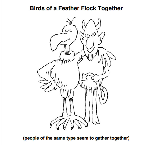 Fun English Idiom of the day Birds of a Feather Flock Together