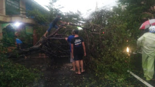 Di Terpa Angin Kencang Dan Hujan Deras ,Sejumlah Pohon Roboh Di Beberapa Ruas Jalan Di Kota Cirebon Di Terpa Angin Kencang Dan Hujan Deras ,Sejumlah Pohon Roboh Di Beberapa Ruas Jalan Di Kota Cirebon