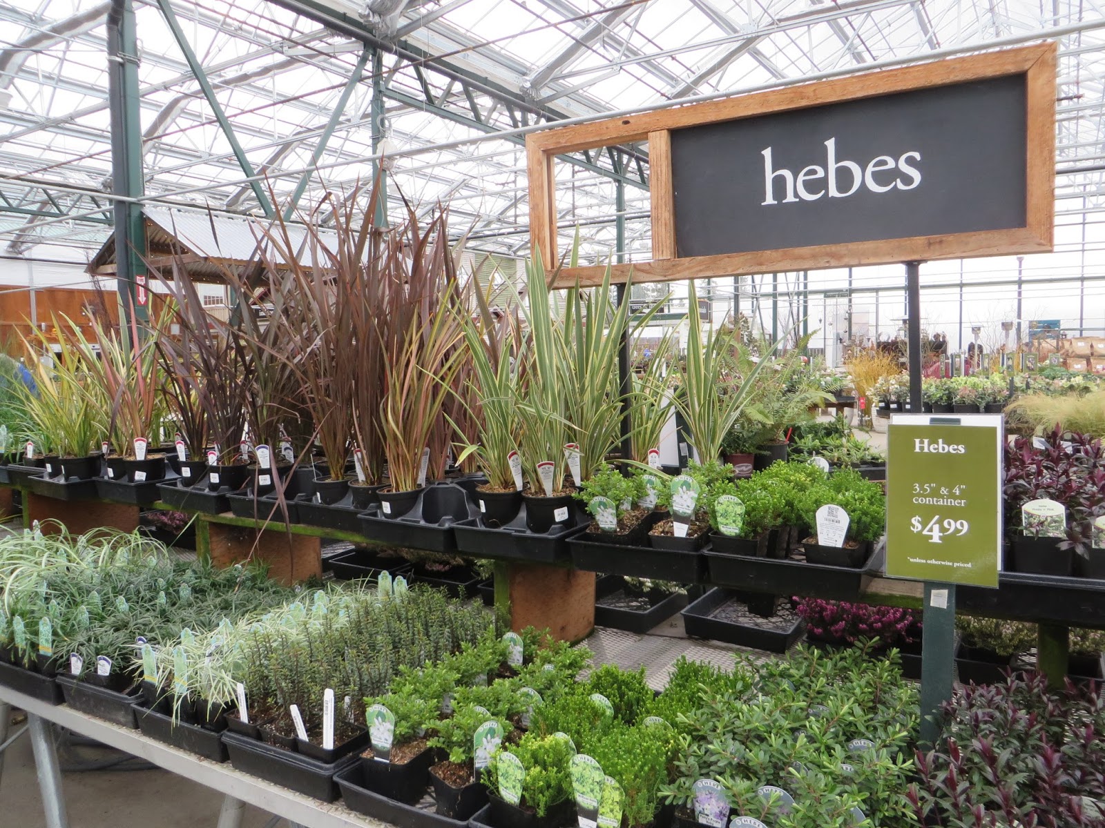 Nursery Visit Sky Nursery Seattle