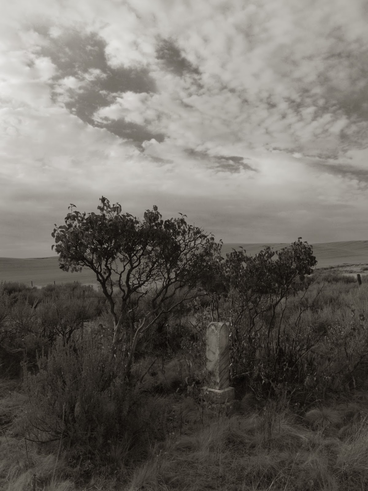 Pacific Northwest Rockdale Cemetery, Lincoln Co. WA