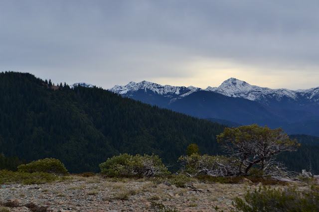 Siskiyou Wilderness