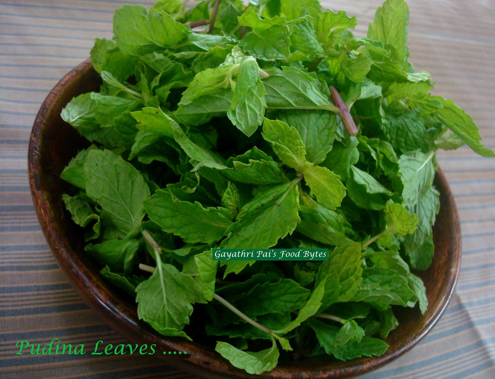 Gayathri Pai's Food Bytes Pudina / Mint Chutney.