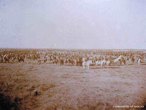 Campamento en marcha