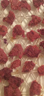 how to dehydrate raspberries, dehydrating raspberries, preserving the harvest, how to use dried raspberries, 