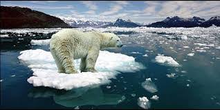Los pronósticos sobre el calentamiento global son peor de lo que se pensaba. Los pronósticos sobre el calentamiento global son peor de lo que se pensaba.
