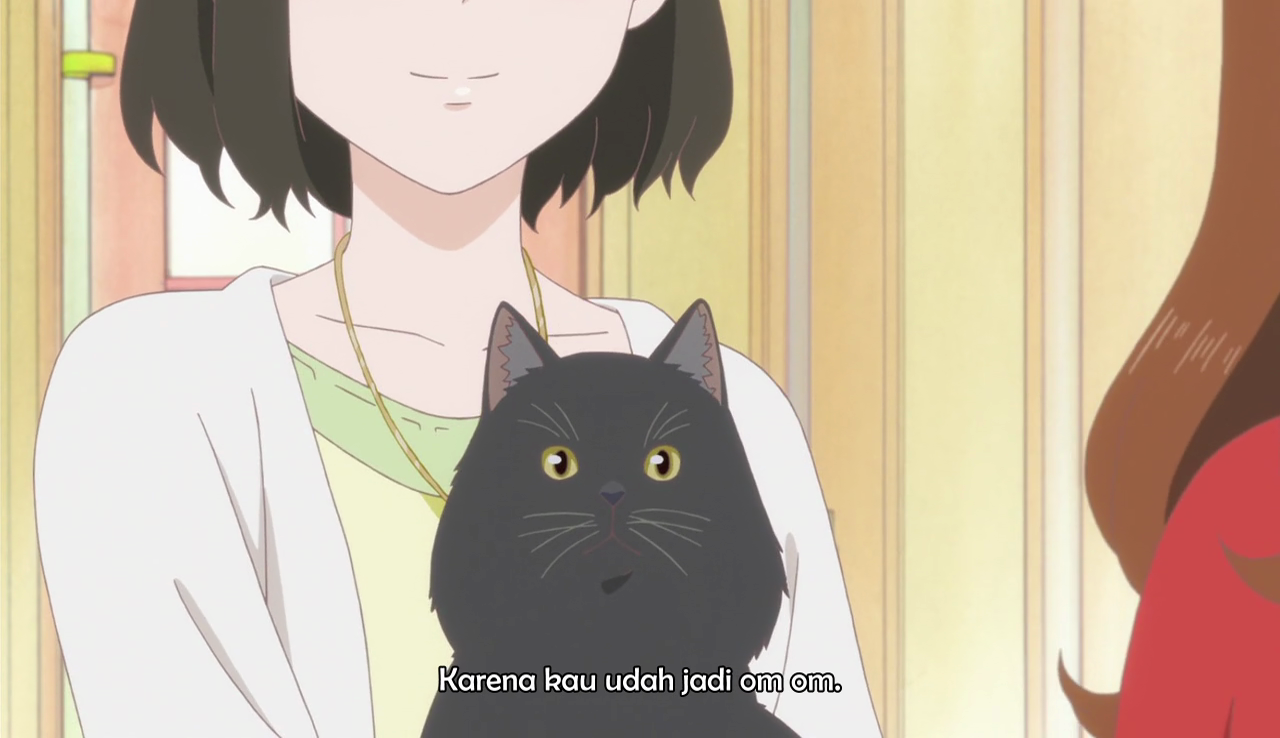 Download Amazora Fansub Kanojo To Kanojo No Neko Episode 1 Subtitle Indonesia HD Wallpaper Amazora Fansub Kanojo To Kanojo No Neko Episode 1 Subtitle Indonesia For iPhone