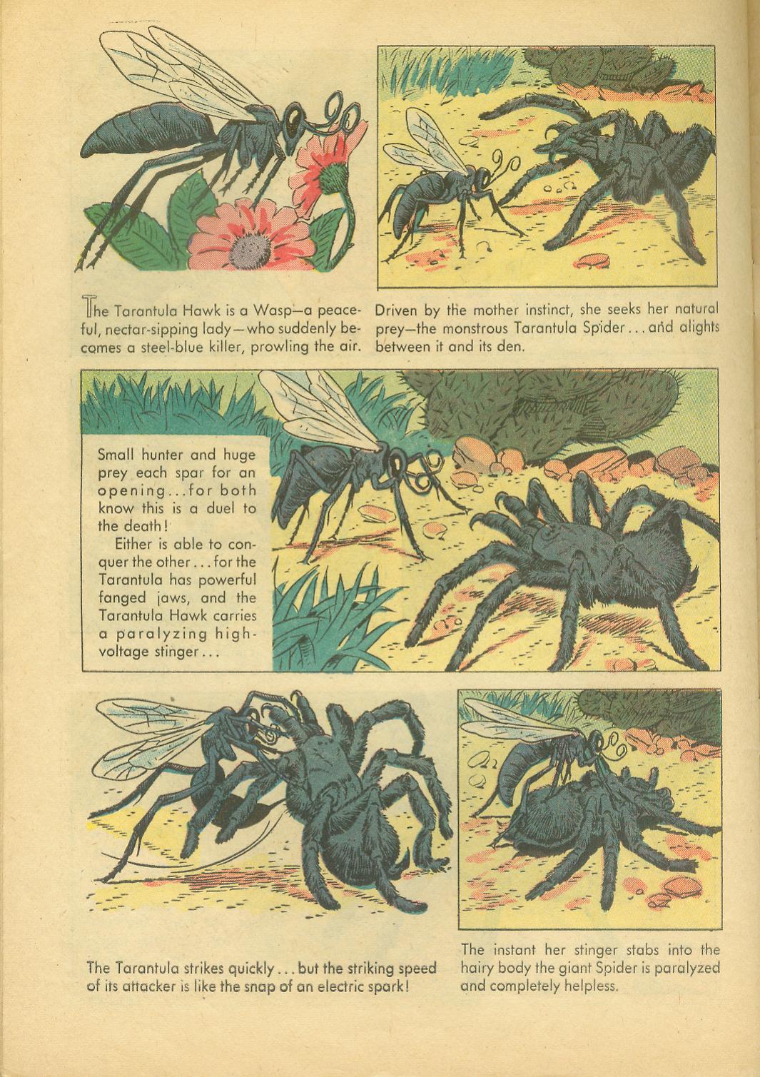 Read online Four Color Comics comic -  Issue #749 - 30