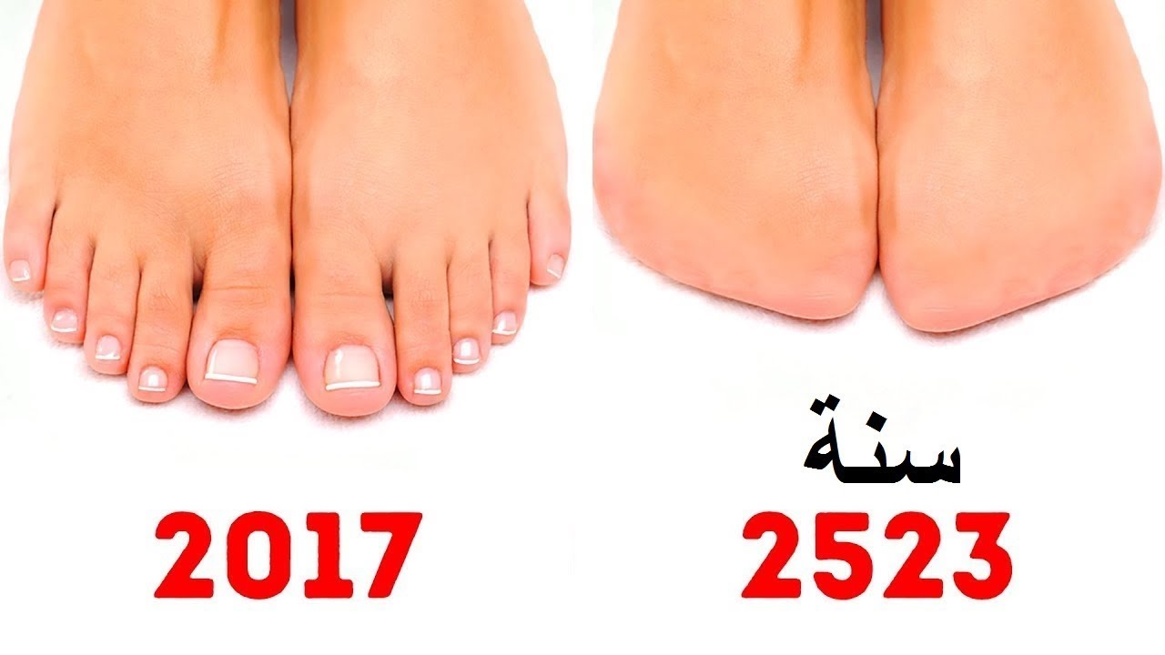 15 عضو في جسم الانسان ستختي والسبب غريب العالم