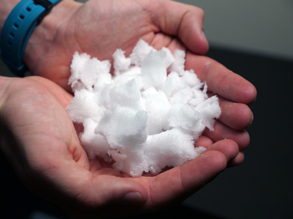 The Eco Cat Lady Speaks Pillow Problems