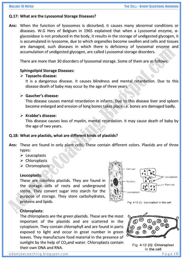 the-cell-short-question-answers-biology-11th
