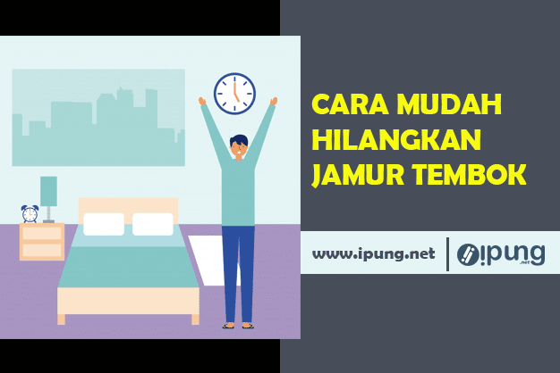 Cara Menghilangkan Jamur Pada Tembok Yang Lembab