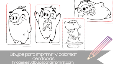 Angry birds la pelicula dibujos para imprimir