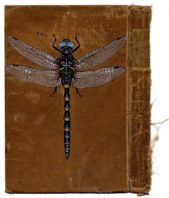 libros con insectos pintados