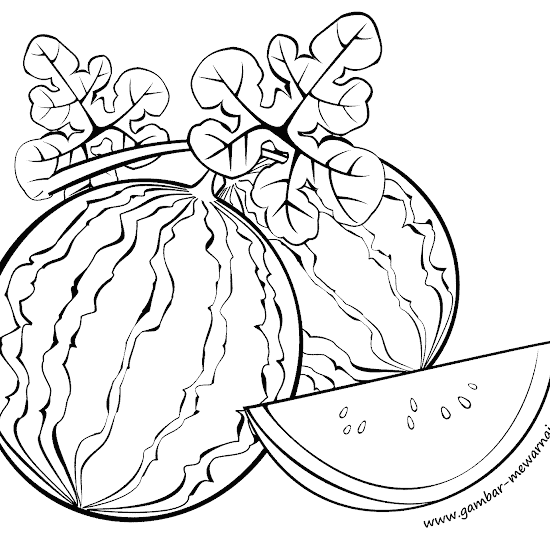 Mewarnai Buah Semangka Mewarnai Buah Semangka