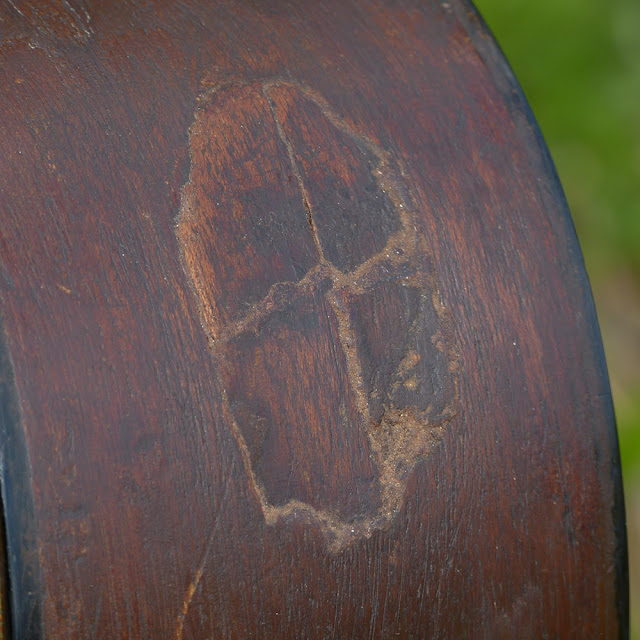 1930s Regalmade "BalsaResonator" Tenor Guitar