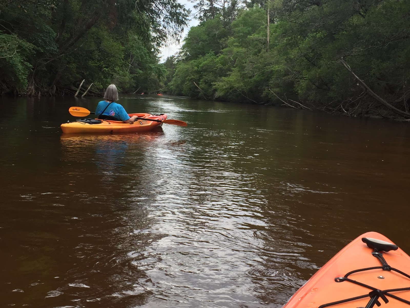 Blackwater River State Park, Florida