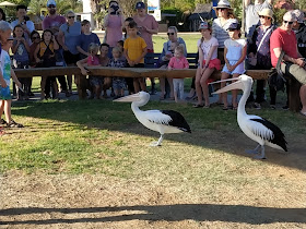 I Like This Idea Works Fine Motor Also Alphabet Preschool