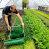 Regarding Urban Farming and how to do it