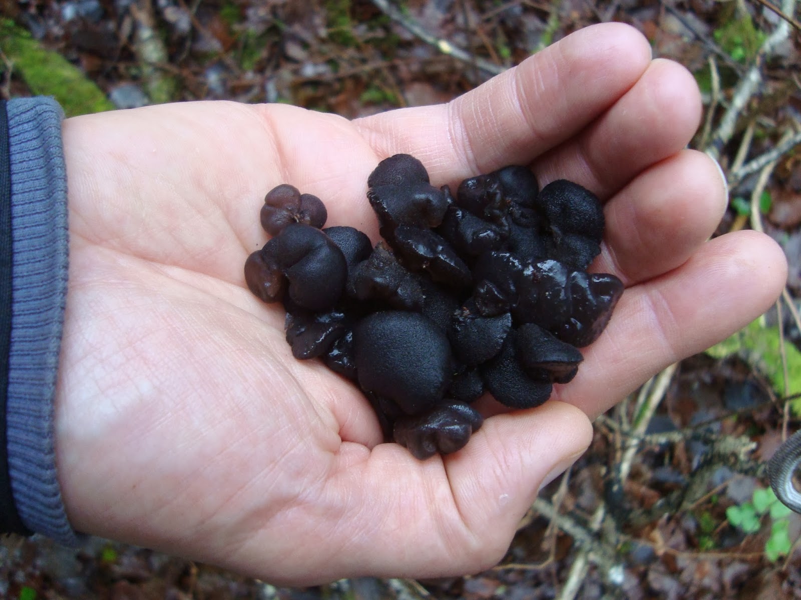 Soolembese rännakud: november 2013