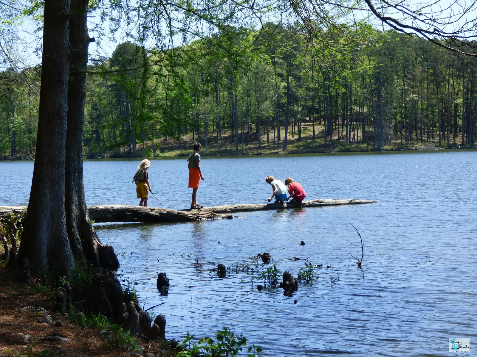 Six Nomades Morton Mississippi USA