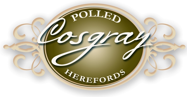 Cosgray Polled Herefords