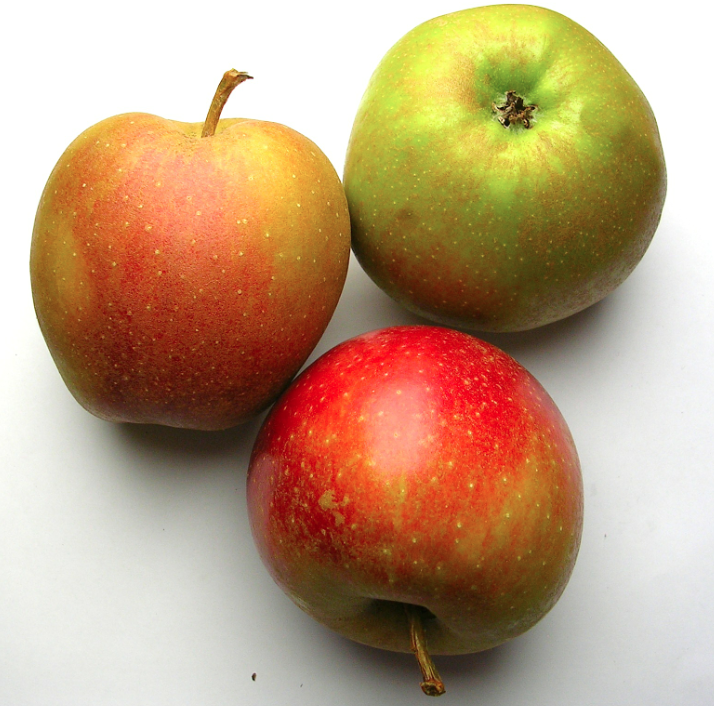 Bilder-Bibliothek: Äpfel aus Deuschland - Cox orange, Boskoop, Gala