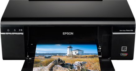 epson p50
