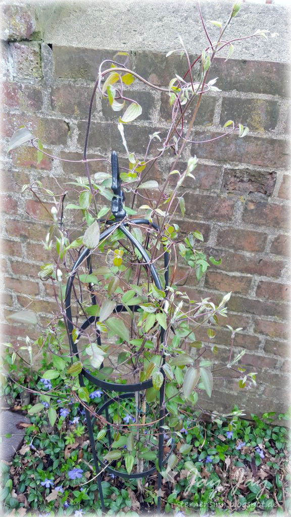 Sternensinn Garten Und Mehr April 2016