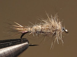 fly wet winged february