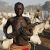 Herdsmen kill eleven in Benue in another fresh attack