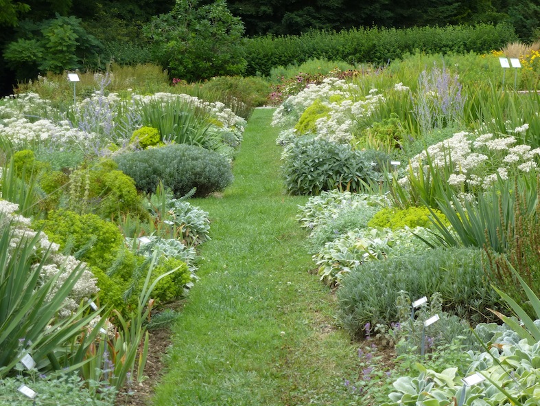 Gartenglück im Wandelgarten Freud und Leid zur Gartenzeit II