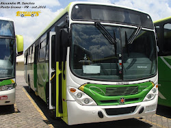 Princesa dos Campos 6237 Novo