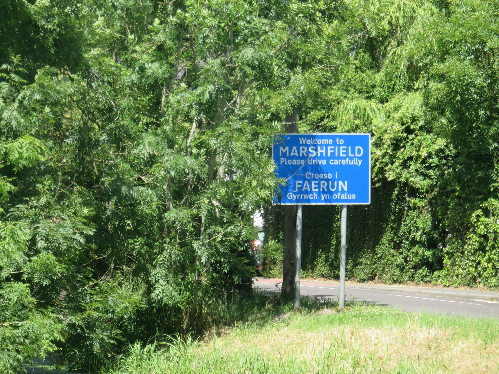 Walking in the Wentloog Levels Where Wetlands Meet the Sea The Green Bard