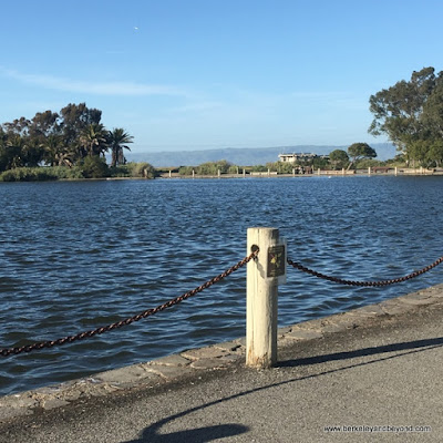 overview of Palo Alto Duck Pond in Palo Alto, California