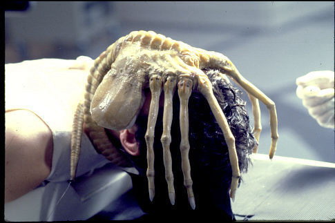 A Level Film Studies: Alien (1979) - Film Analysis