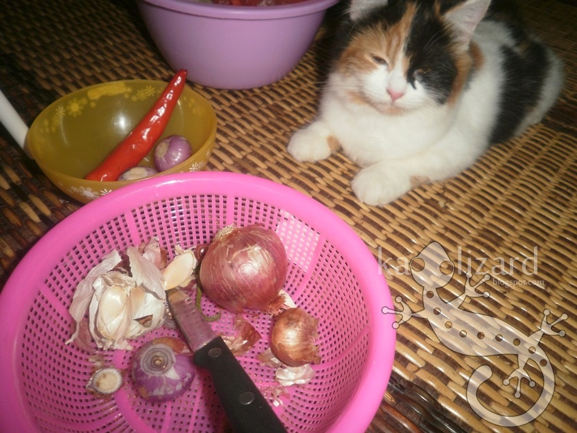 Alam & Maya, Fantasy & Reality: July 2011