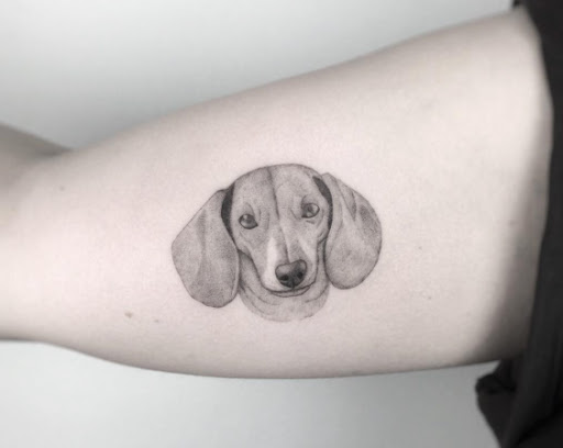 Este preto e cinza tinta dachshund tatuagem