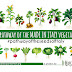 The pathway of the MADE IN ITALY vegetables - #pathwayoftheseedsofItaly