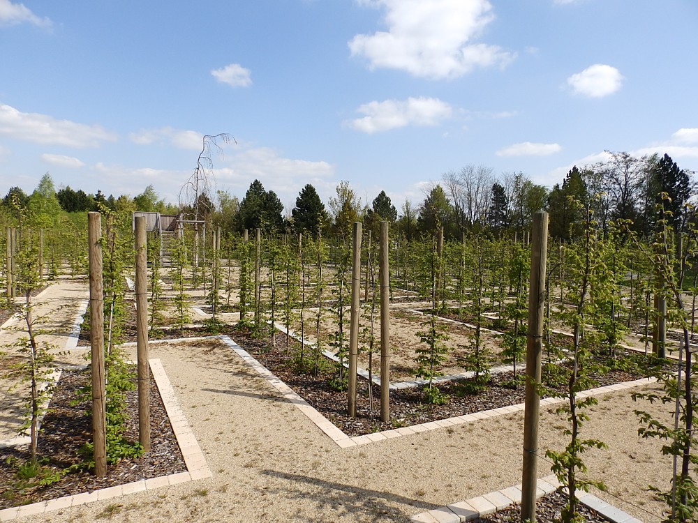 Figuras En El Mercado En Una Ciudad Holandesa Cornelis Springer