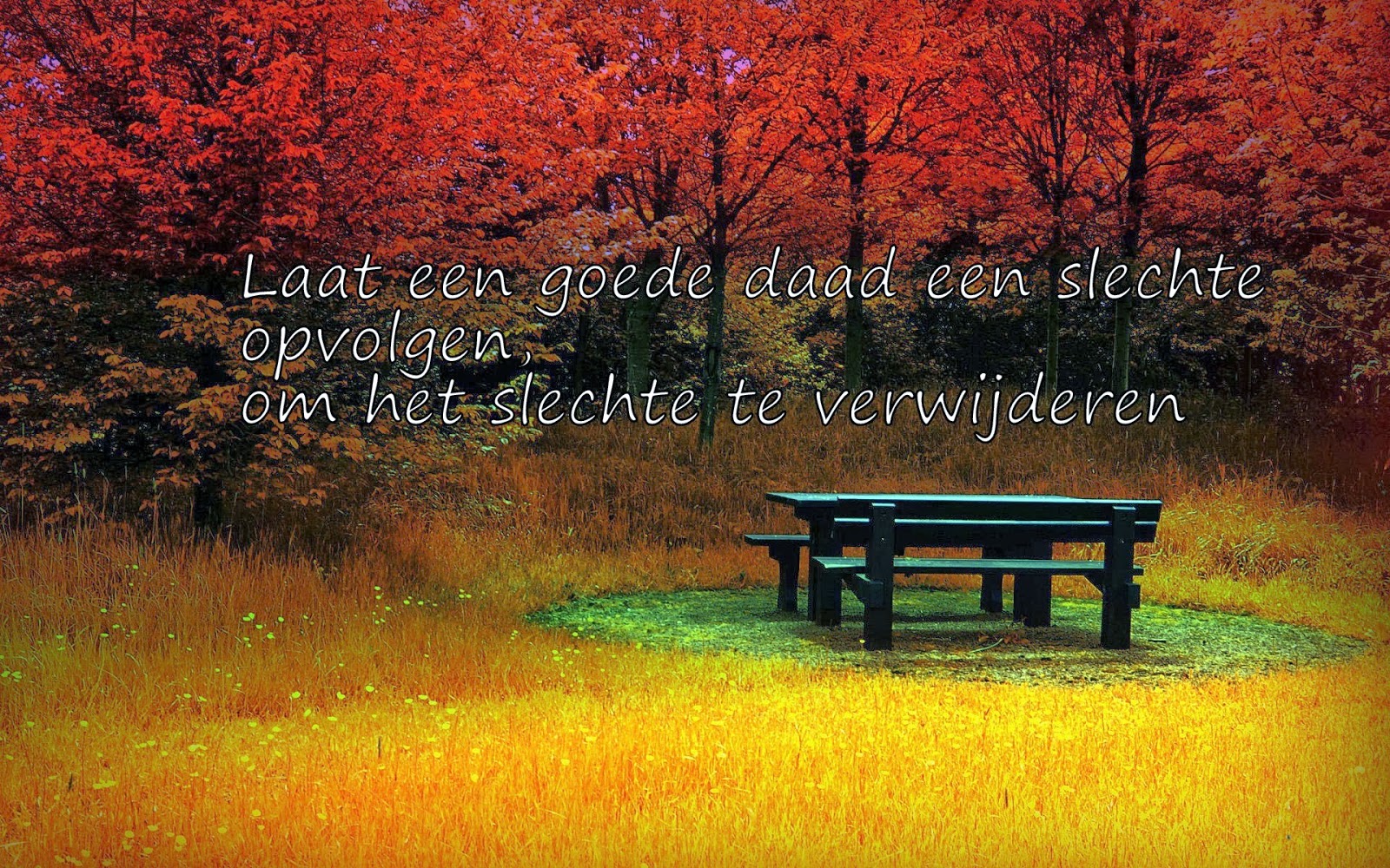 Citaten en Wijze Woorden uit de Islam: Goede daad / slechte daad