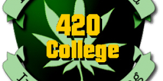 California 420 university