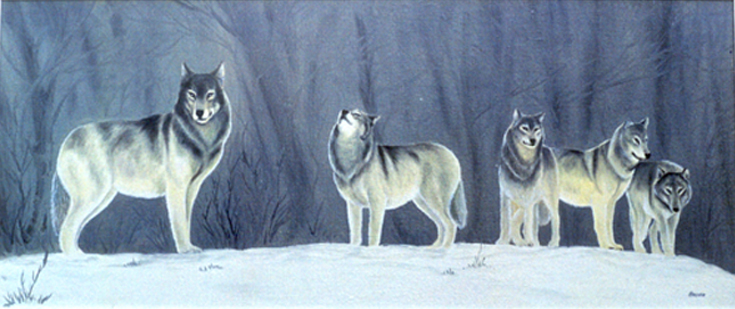 Волчья стая схема движения