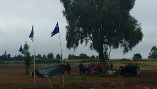 integrantes de la comunidad mapuche Pancho Marivil II este domingo resolvieron ingresar al terreno que actualmente ocupa el fundo La Montaña en el sector Rengalil de la localidad de Labranza  para impedir su venta