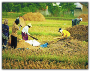 HPS ke-XXXV di Dumai, Berdayakan Petani Sebagai Penggerak Ekonomi