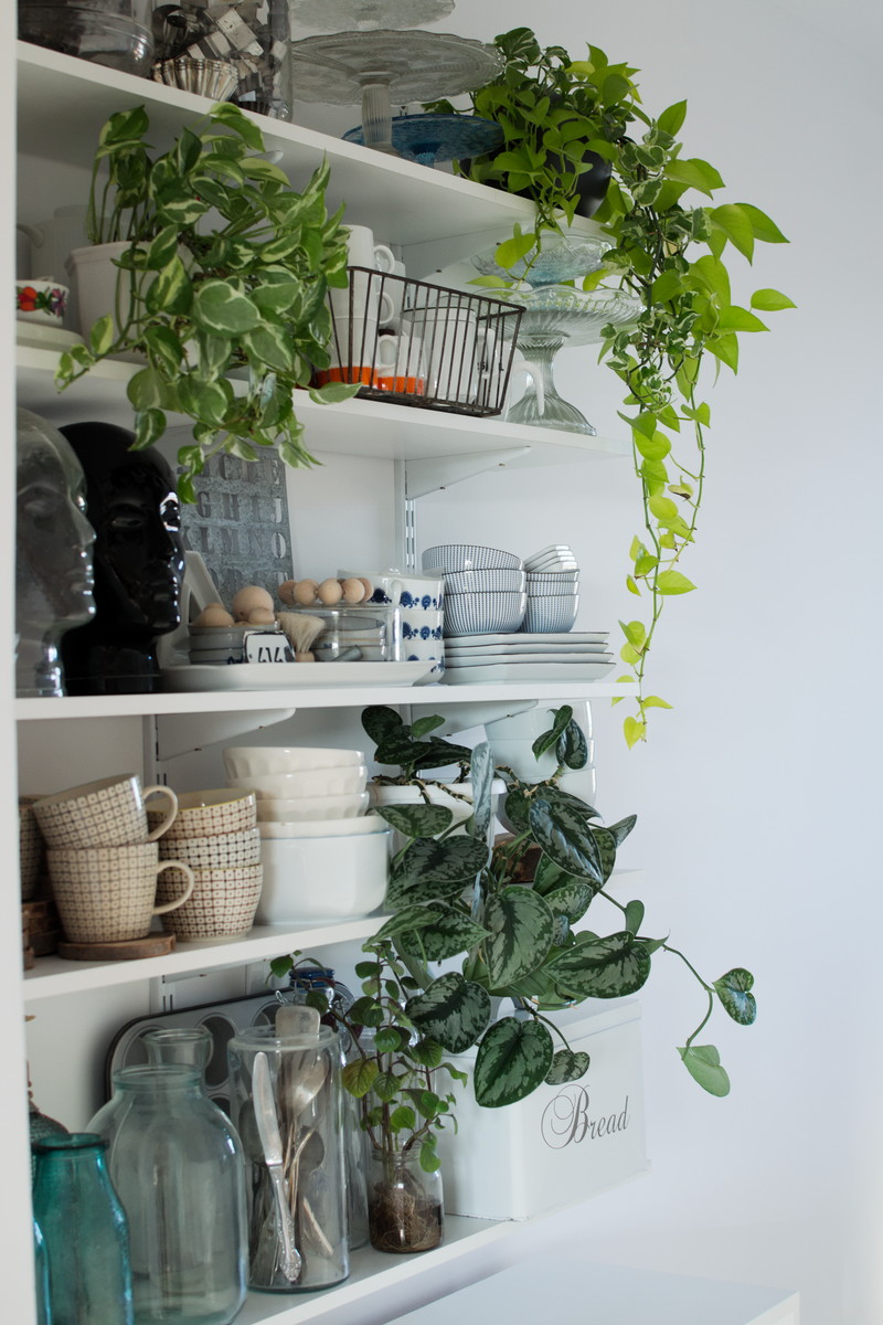 Urban Jungle Bloggers Kitchen Greens Papierowy wymiar
