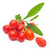 What Is The Goji Berry?