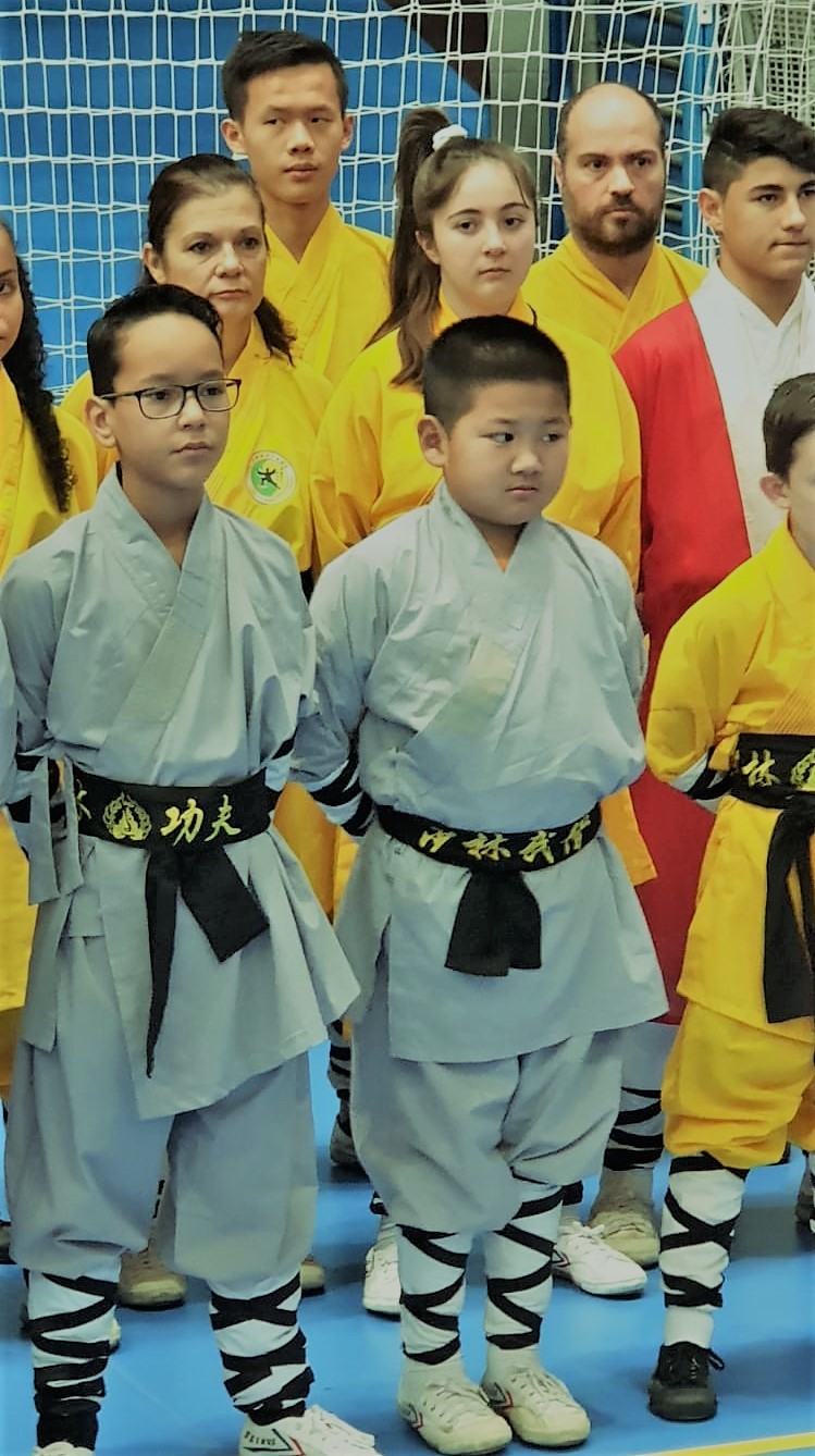 Clases de Kung Fu Shaolin y Wudang en Azuqueca de Henares