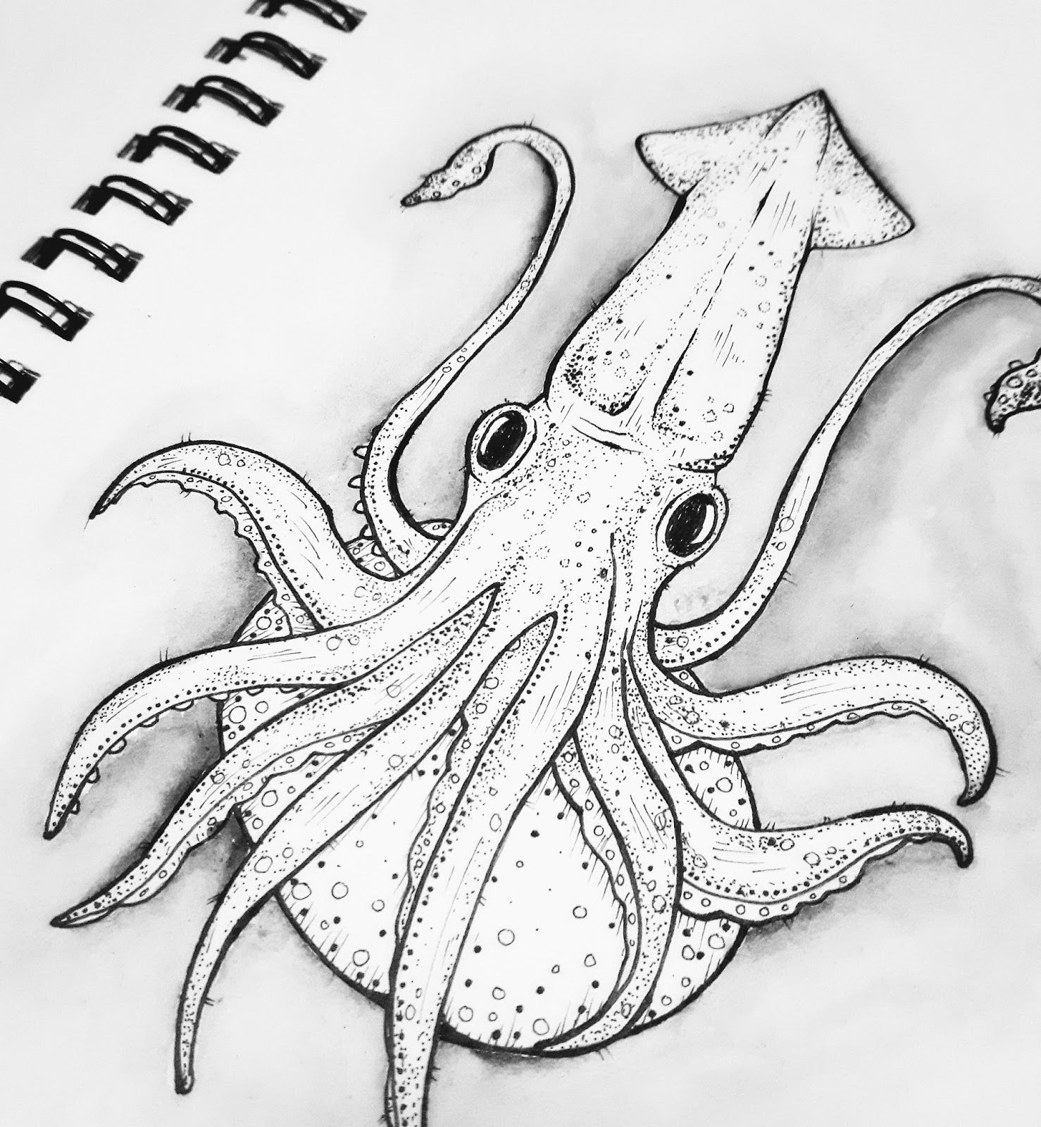 Игра в кальмара squid. Осьминог рисунок карандашом для срисовки. Кальмар рисунок. Кальмар эскиз. Картинки осьминога для срисовки.