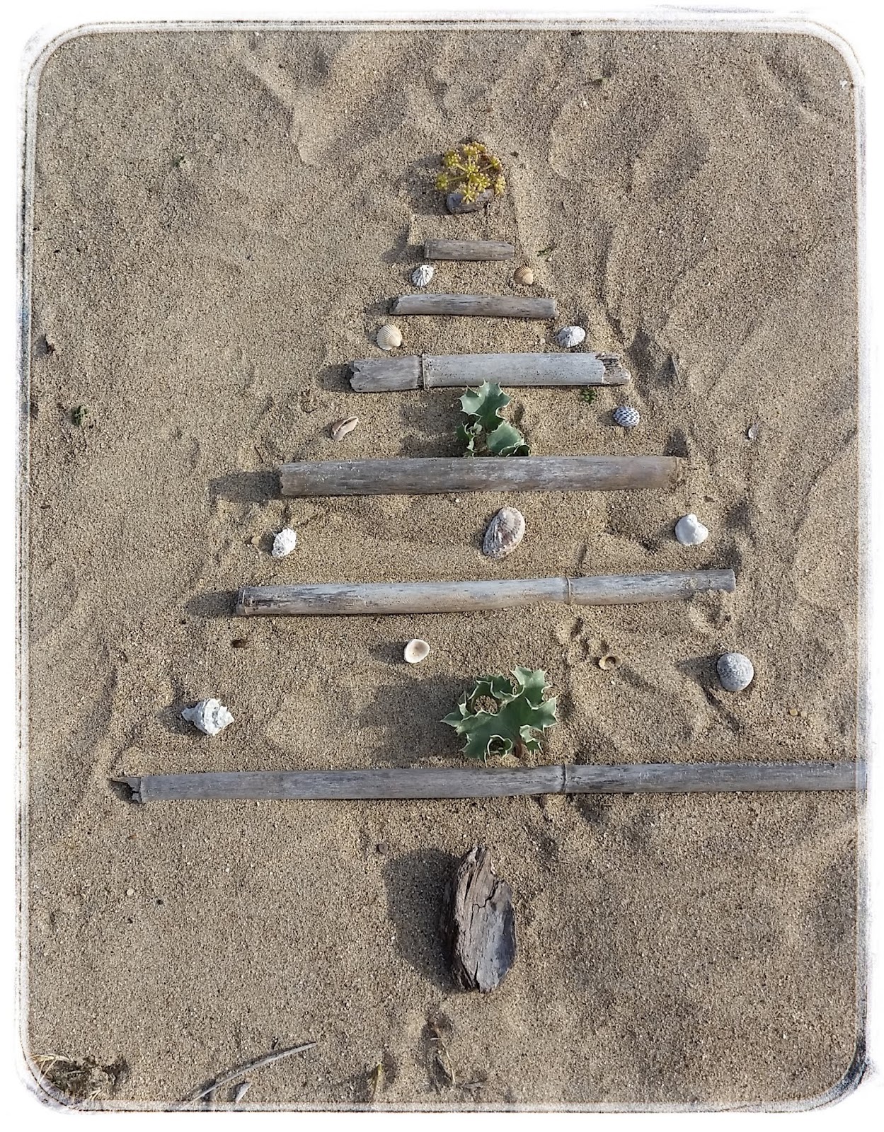 Wald Unterwegs Frohe Weihnachten