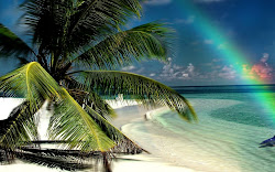 tropical rain desktop wallpapers beaches desktopnexus header beach background exotic templates source ocean